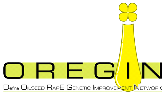 OREGIN Logo